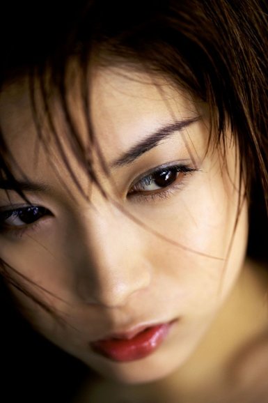 ‘华体官方版网站登录入口’山西省林业网络医院正式运行